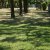 campingyuste (58)